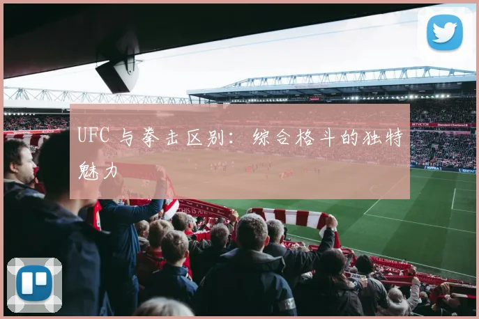 UFC 与拳击区别:综合格斗的独特魅力