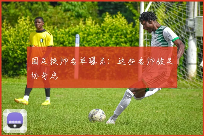 国足换帅名单曝光:这些名帅被足协考虑