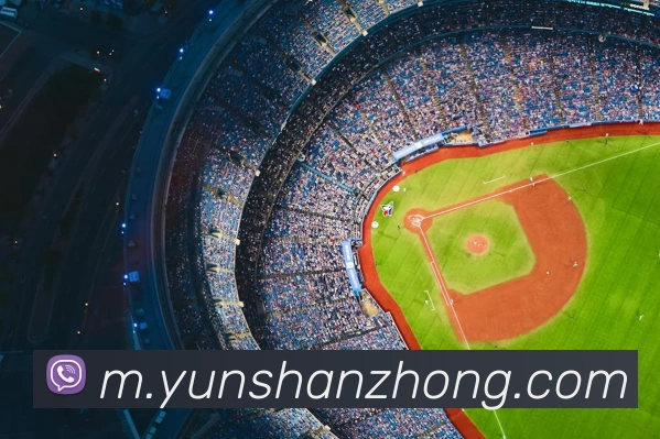 奖项图1