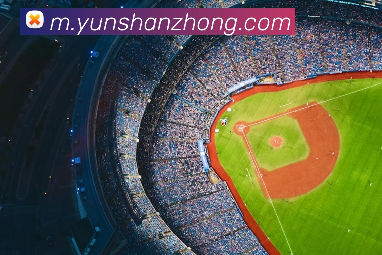奖项图2